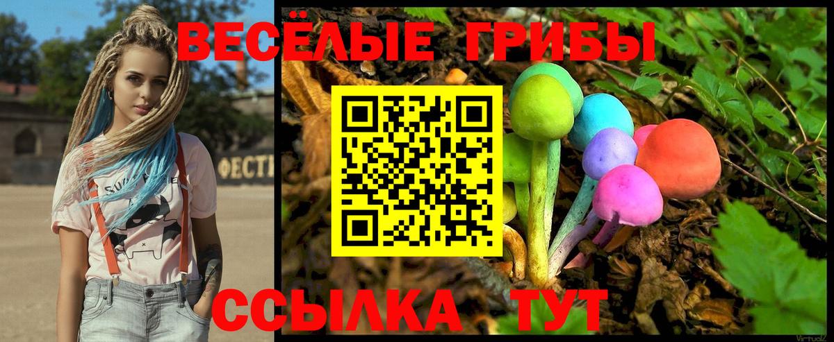 Псилоцибиновые грибы Psilocybine cubensis Троицк